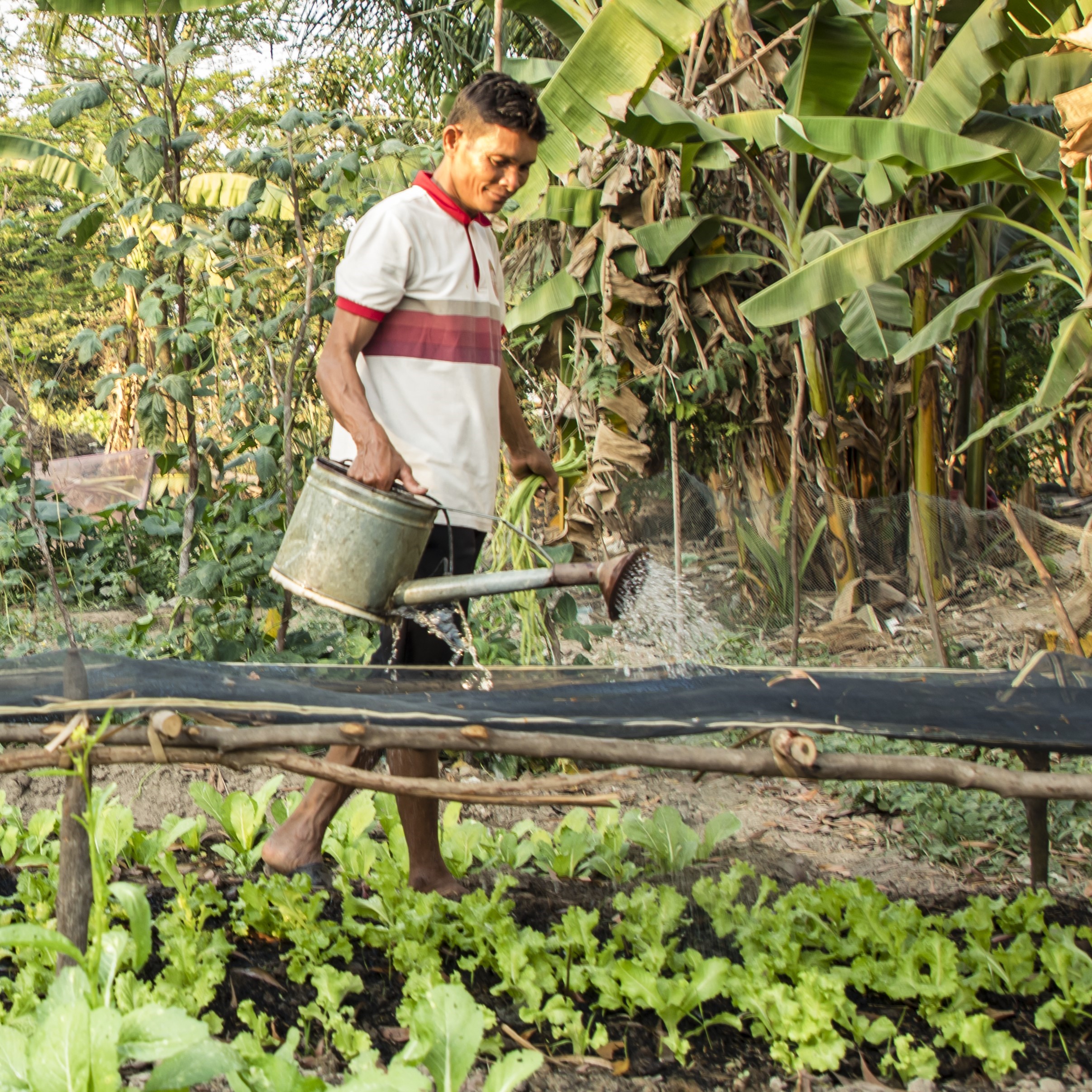 Philanthropy: No Ban on Giving