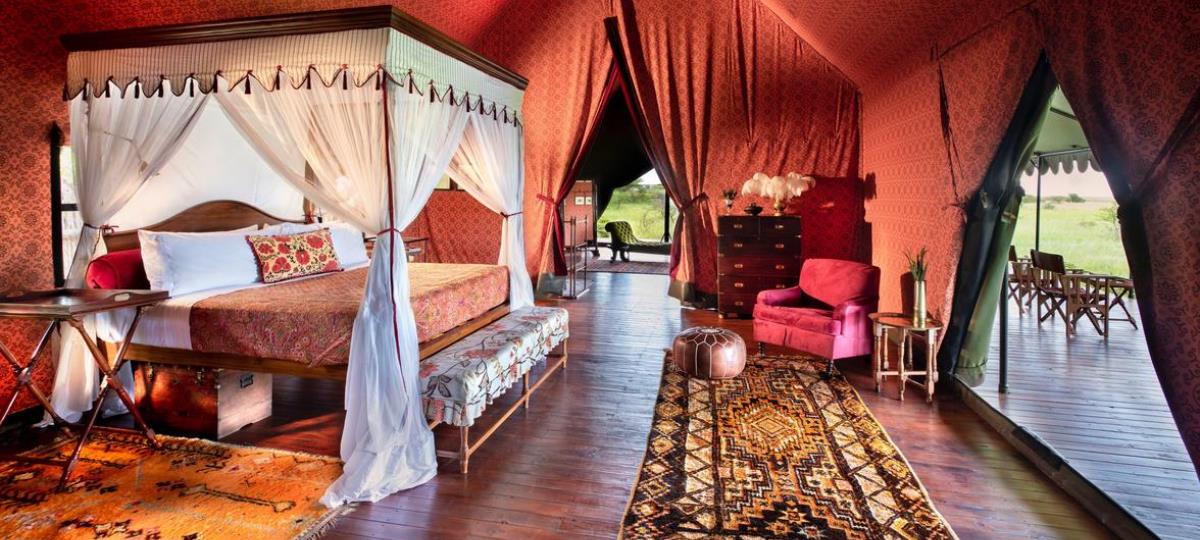 Natural Selection Honeymoon Offer